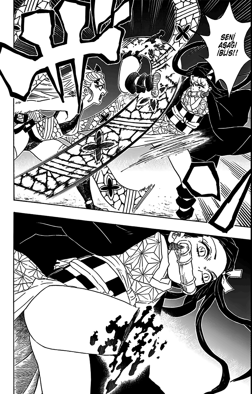 Read Kimetsu no Yaiba TR Manga Online