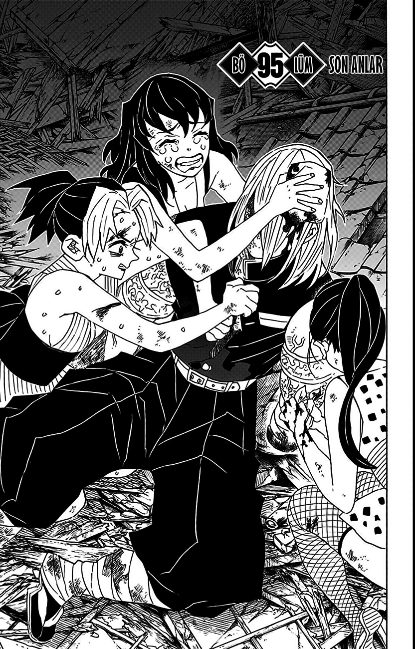 Read Kimetsu no Yaiba TR Manga Online