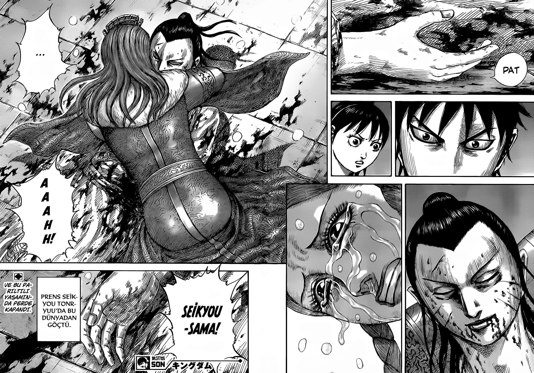 Read Kingdom TR Manga Online