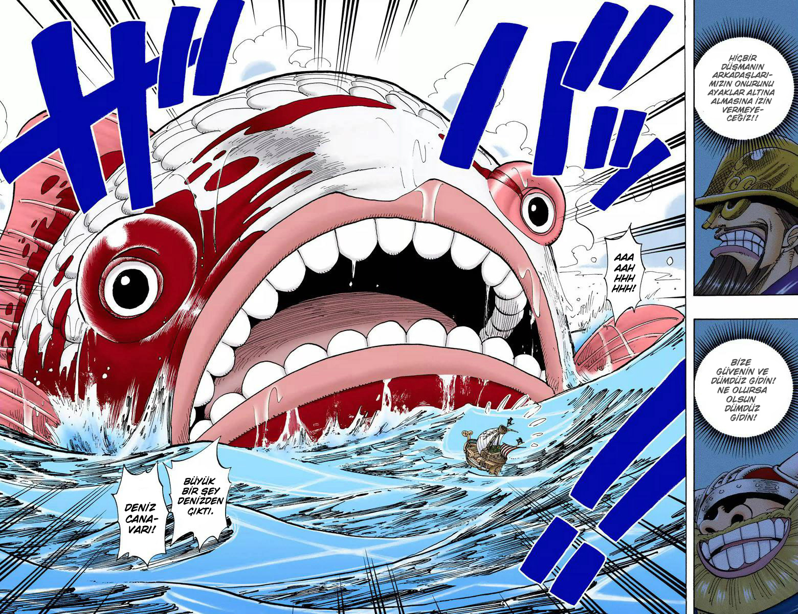 Read One Piece TR Manga Online