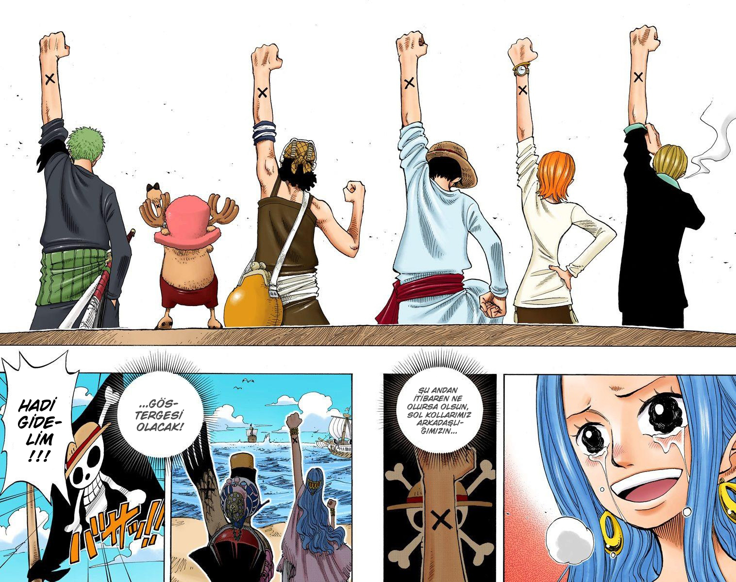 Read One Piece TR Manga Online