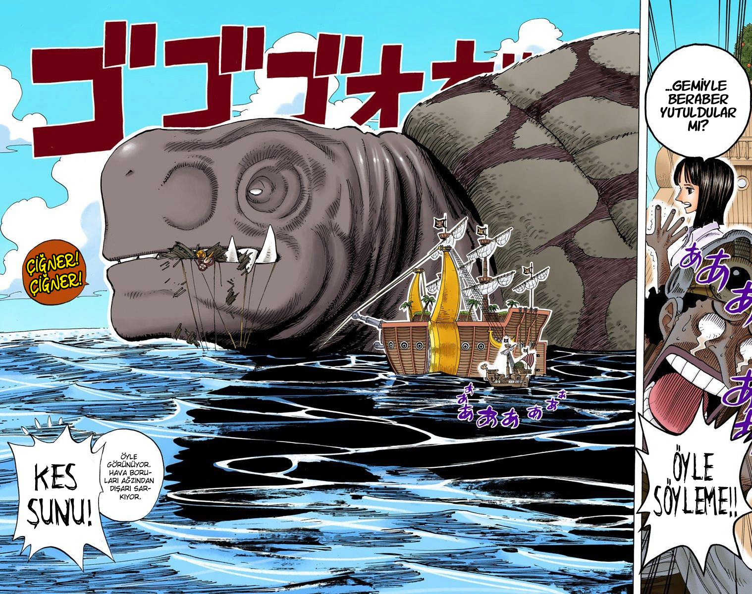 Read One Piece TR Manga Online