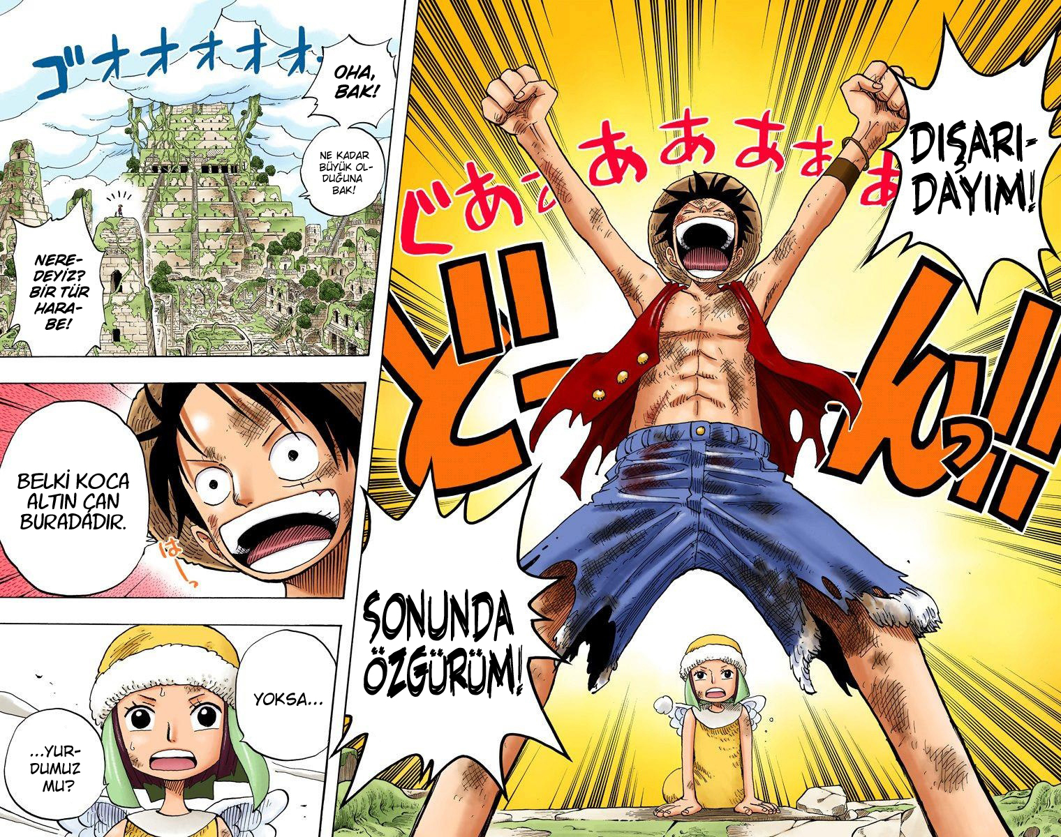 Read One Piece TR Manga Online