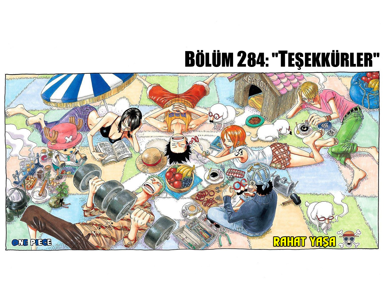 Read One Piece TR Manga Online
