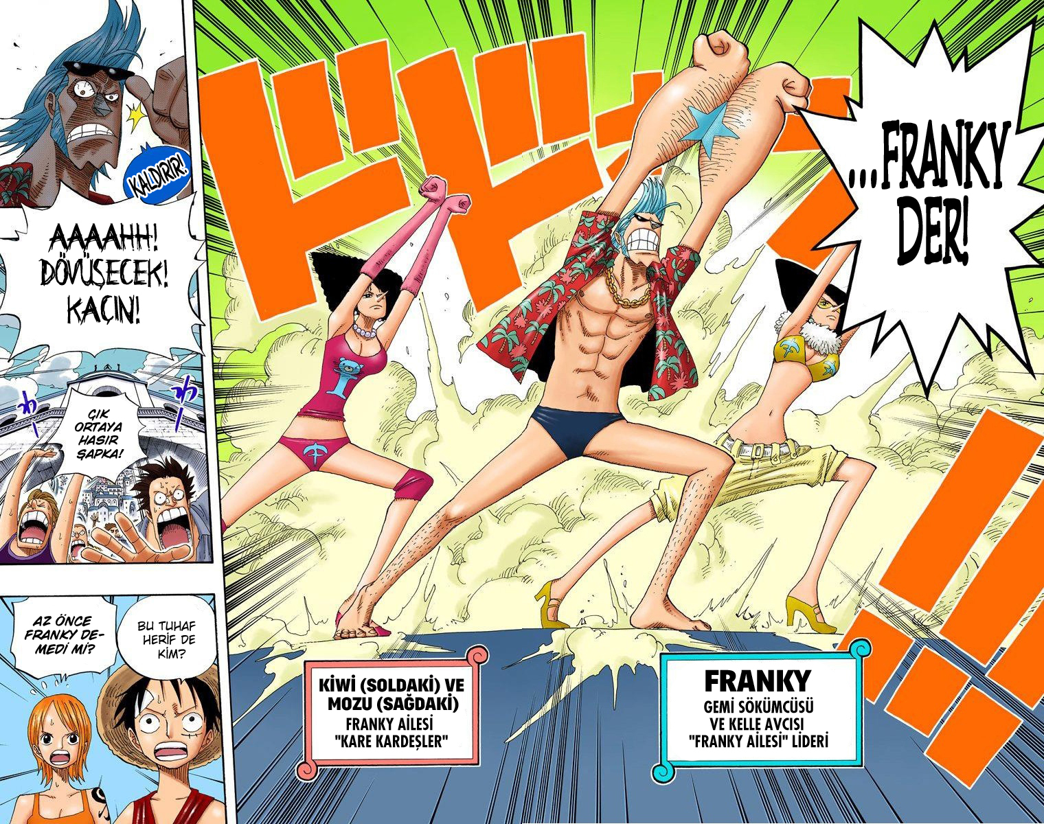 Read One Piece TR Manga Online