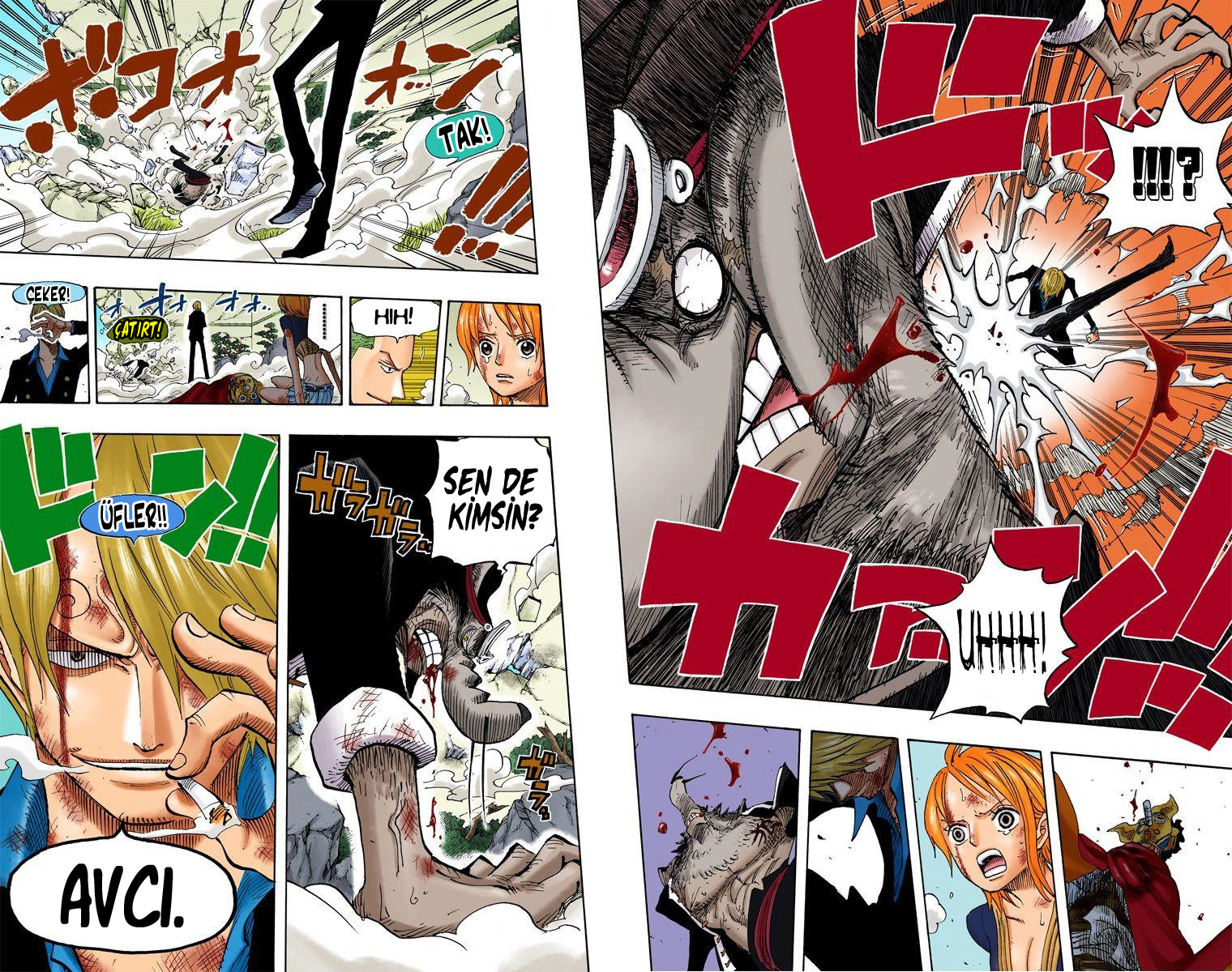 Read One Piece TR Manga Online