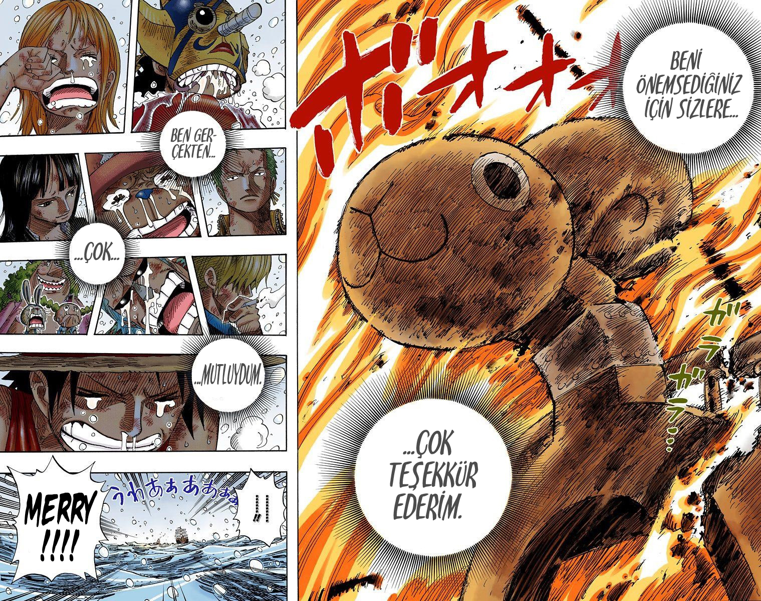 Read One Piece TR Manga Online