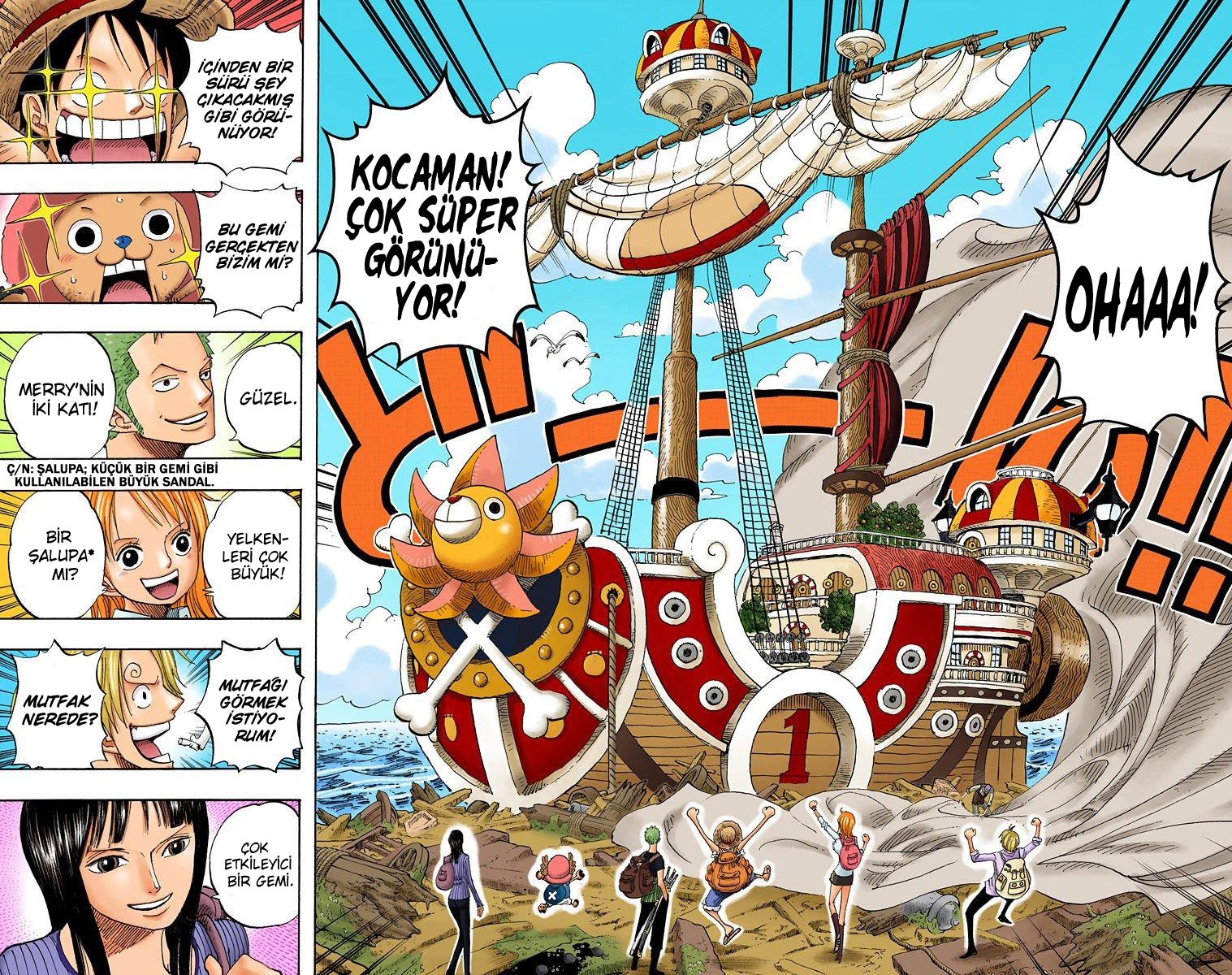 Read One Piece TR Manga Online