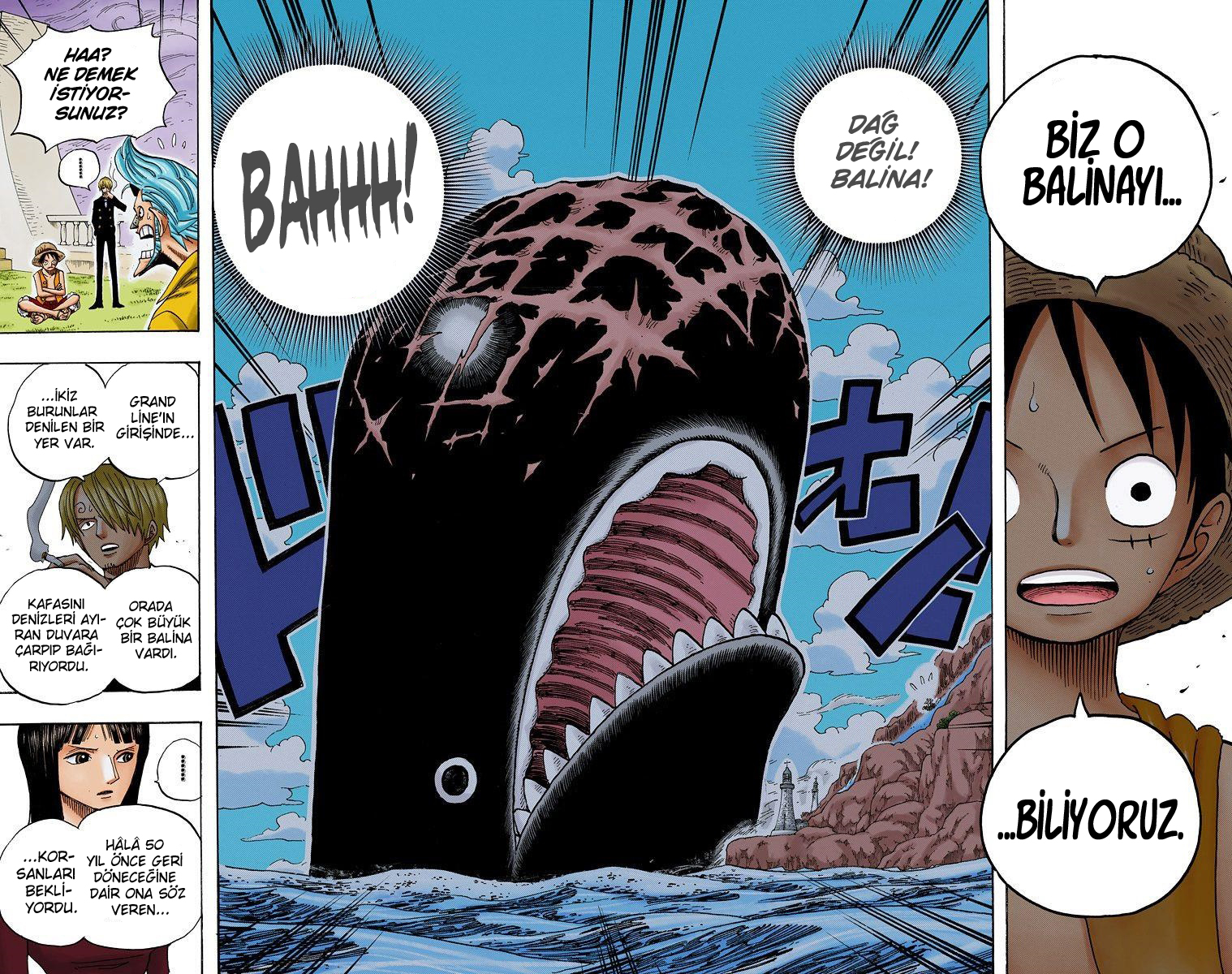 Read One Piece TR Manga Online