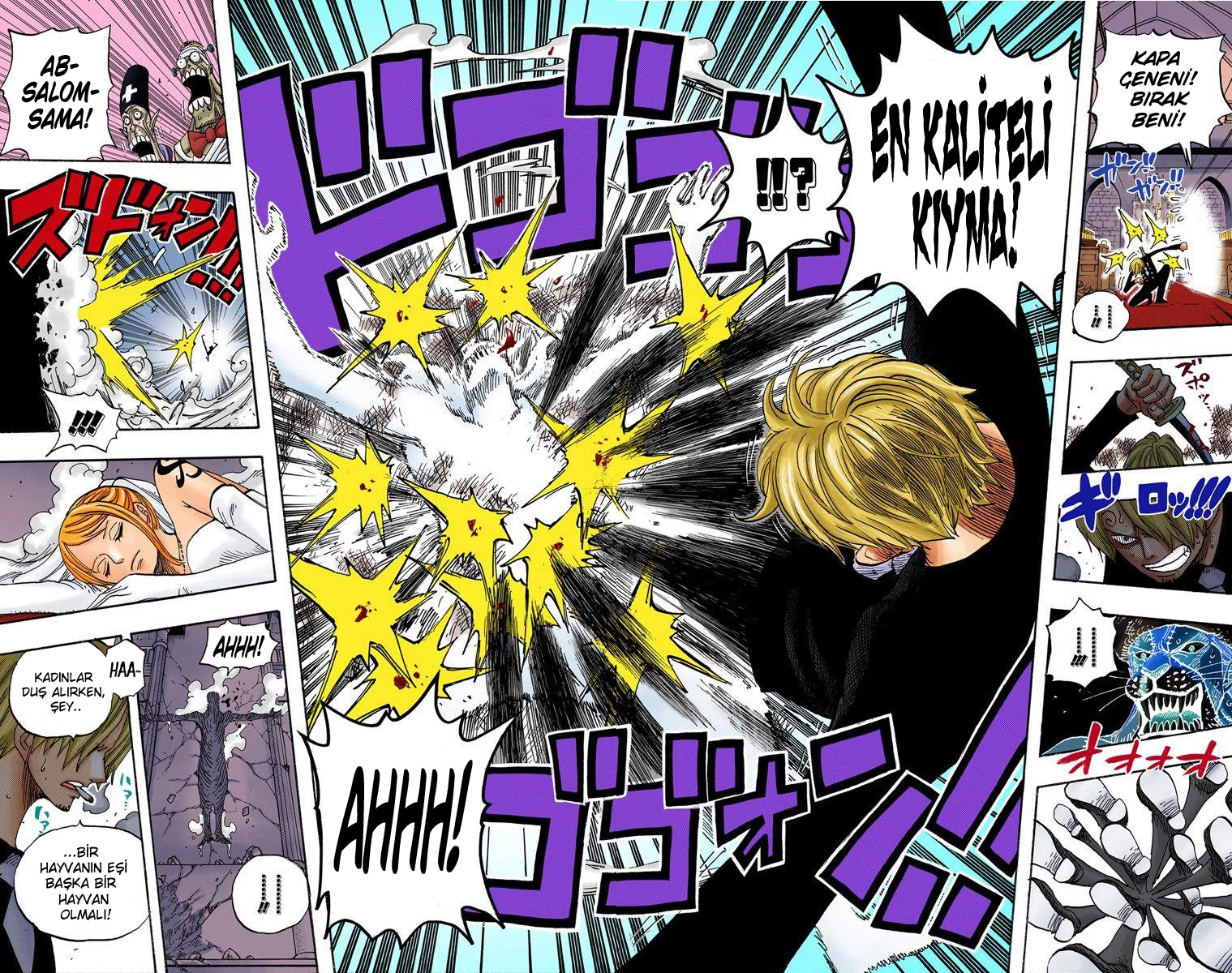 Read One Piece TR Manga Online