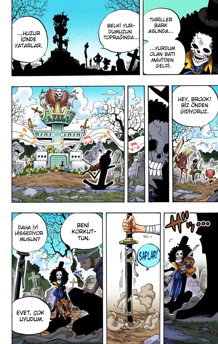 Read One Piece TR Manga Online