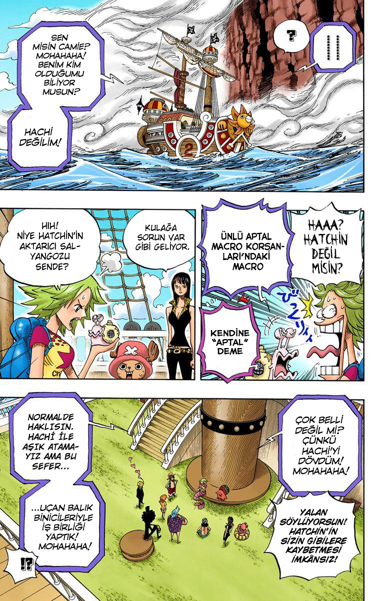 Read One Piece TR Manga Online