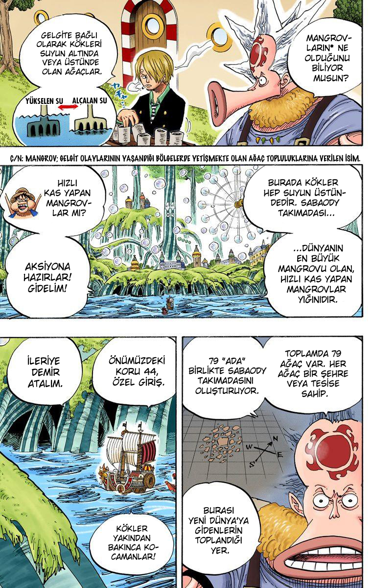 Read One Piece TR Manga Online