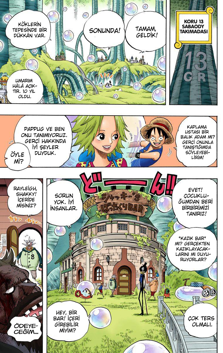 Read One Piece TR Manga Online