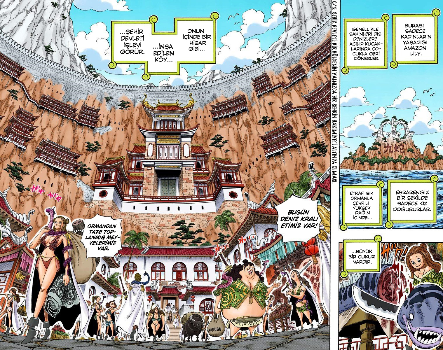 Read One Piece TR Manga Online