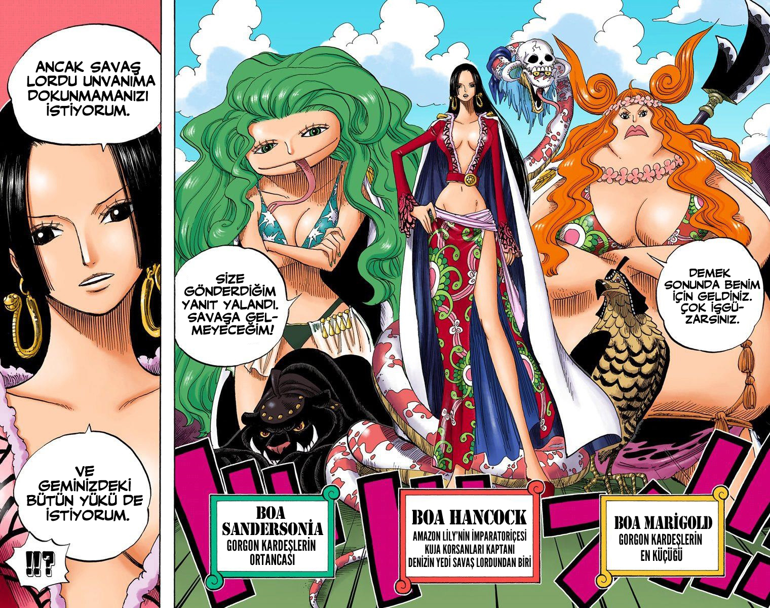 Read One Piece TR Manga Online