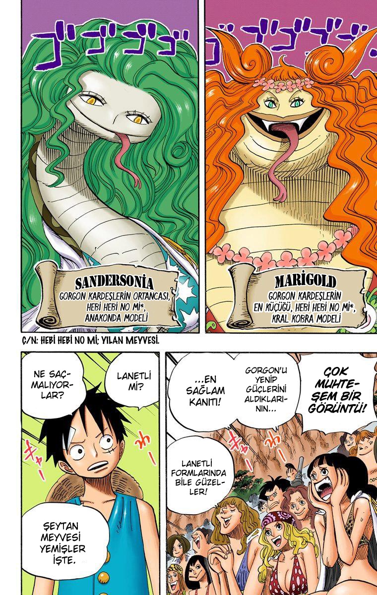Read One Piece TR Manga Online