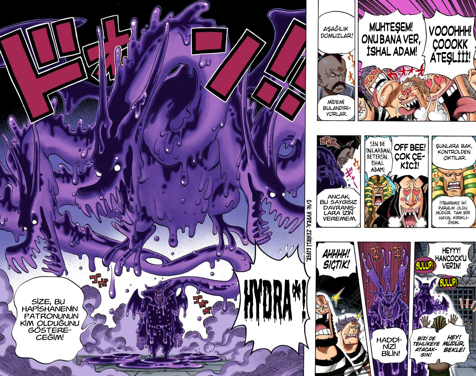 Read One Piece TR Manga Online