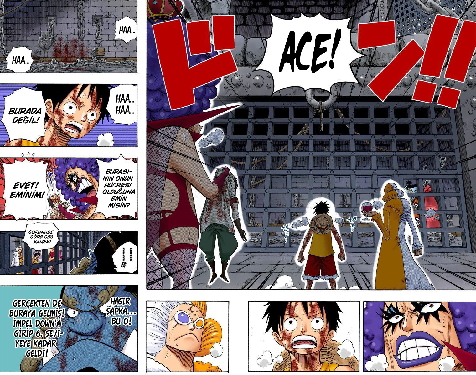 Read One Piece TR Manga Online