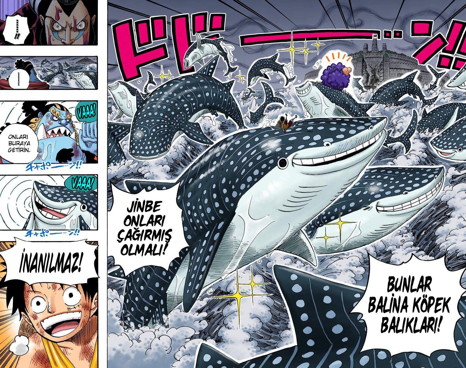 Read One Piece TR Manga Online