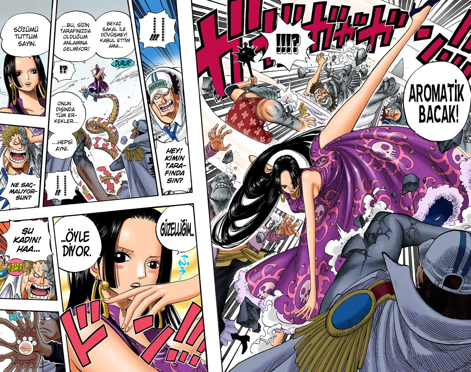 Read One Piece TR Manga Online