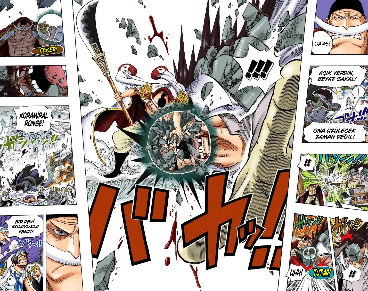 Read One Piece TR Manga Online
