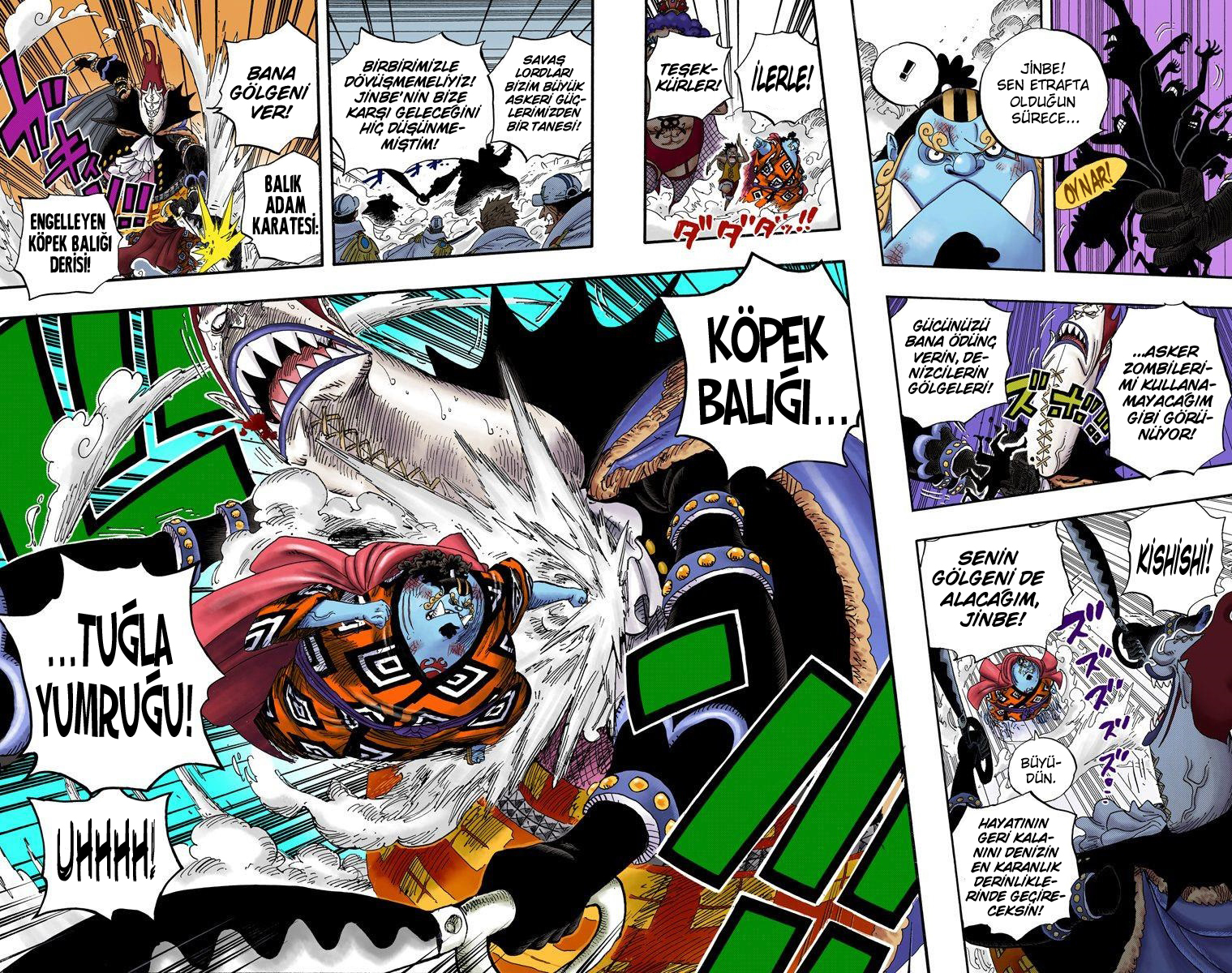Read One Piece TR Manga Online