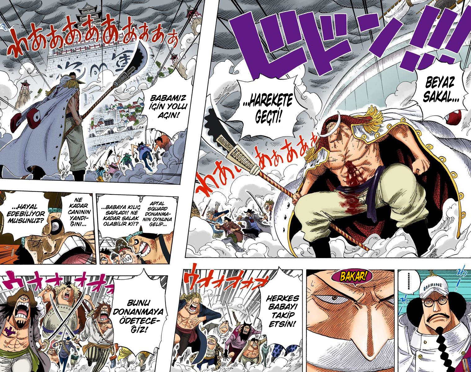 Read One Piece TR Manga Online