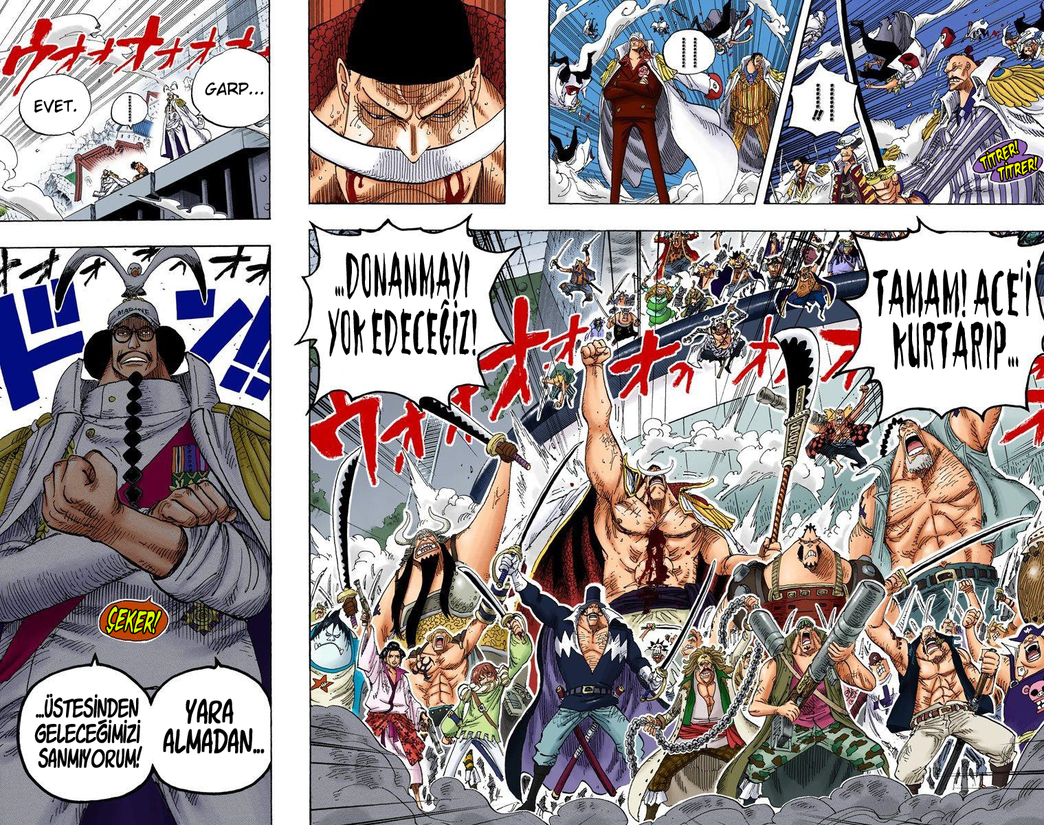 Read One Piece TR Manga Online