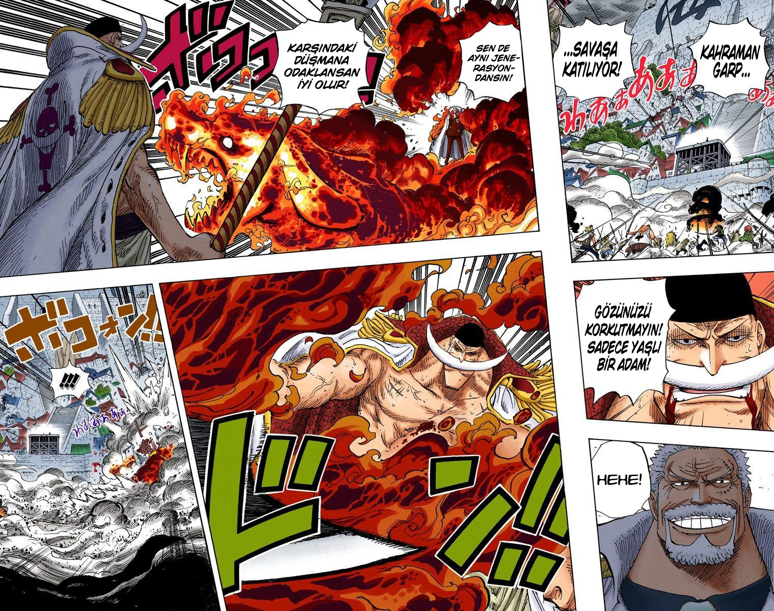 Read One Piece TR Manga Online