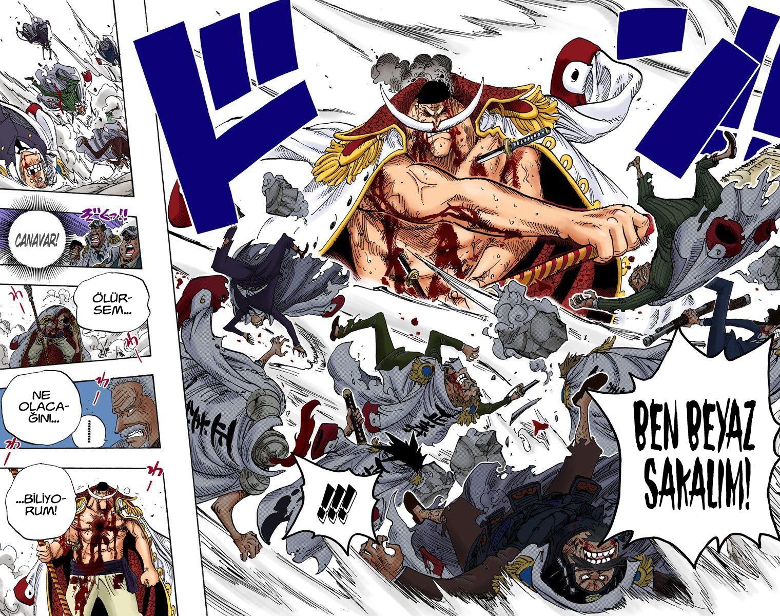 Read One Piece TR Manga Online