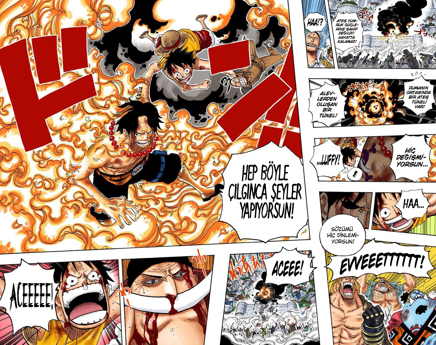 Read One Piece TR Manga Online