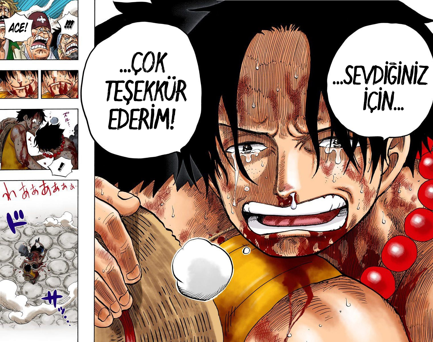 Read One Piece TR Manga Online