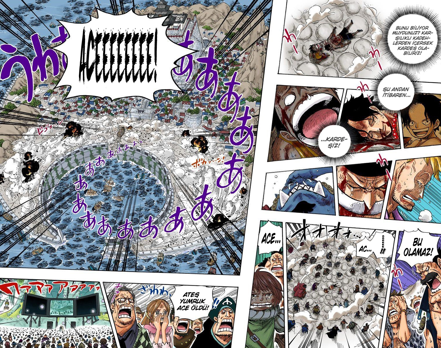 Read One Piece TR Manga Online