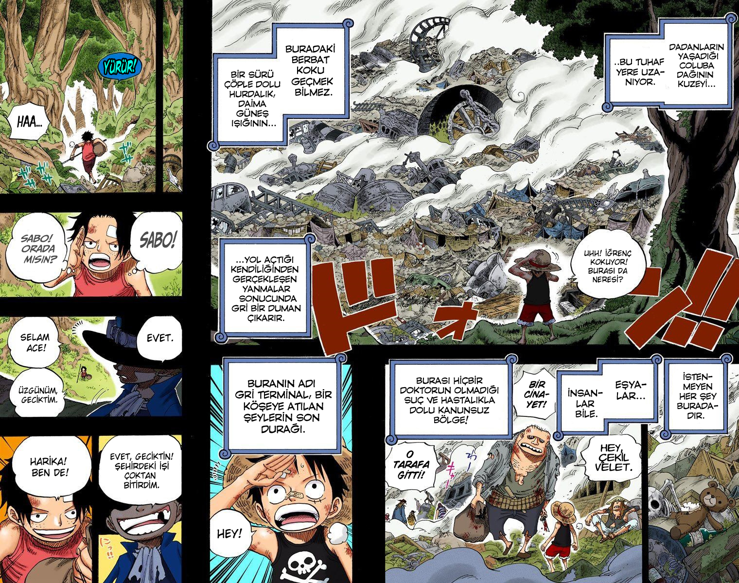 Read One Piece TR Manga Online