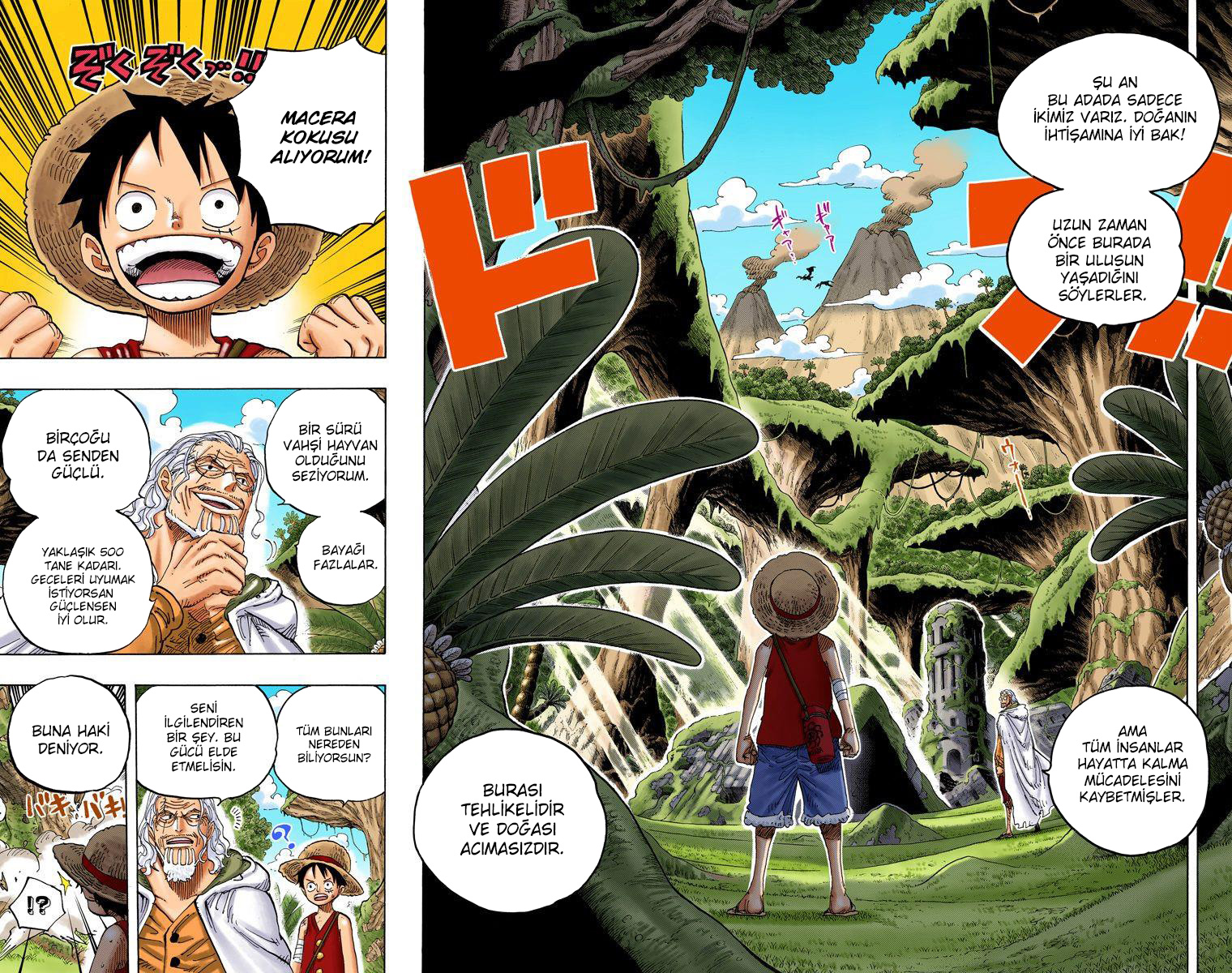 Read One Piece TR Manga Online