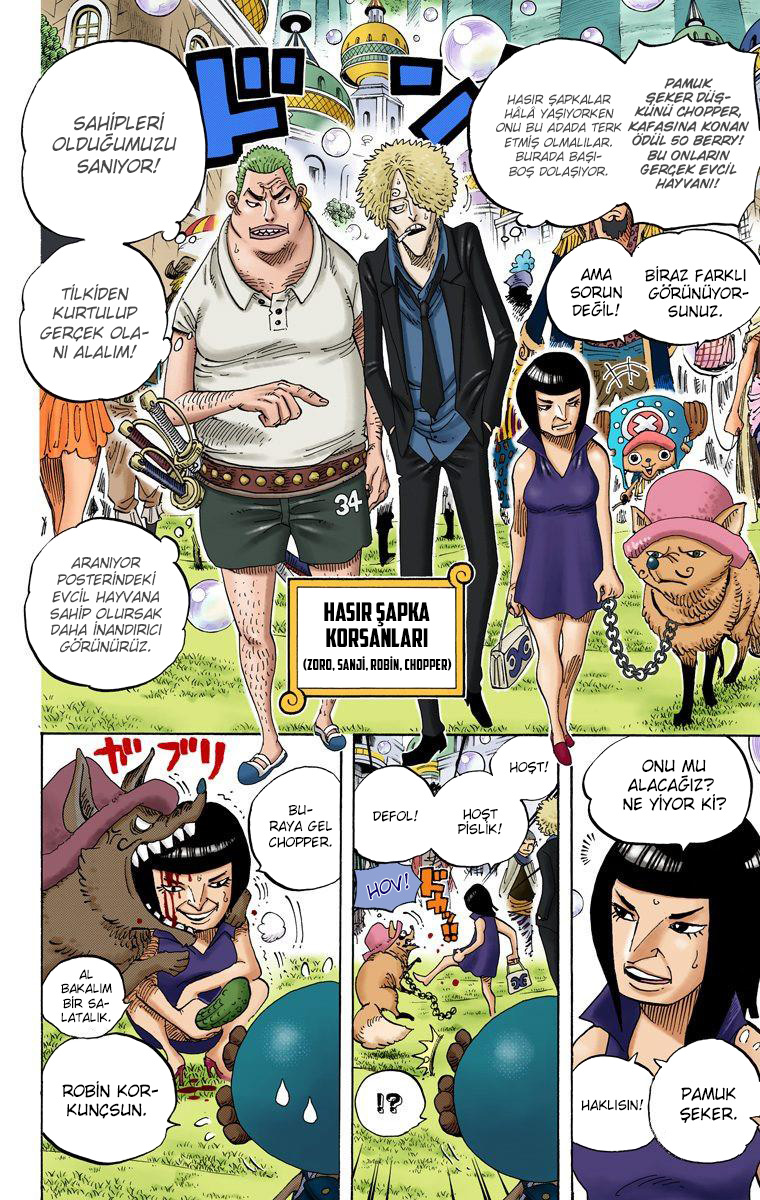Read One Piece TR Manga Online