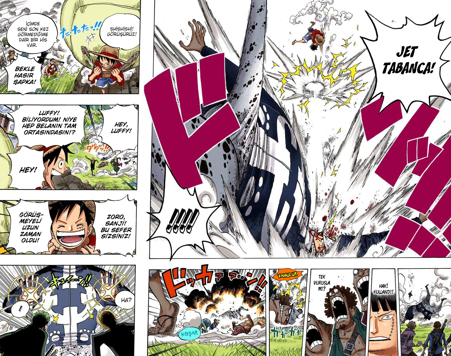 Read One Piece TR Manga Online
