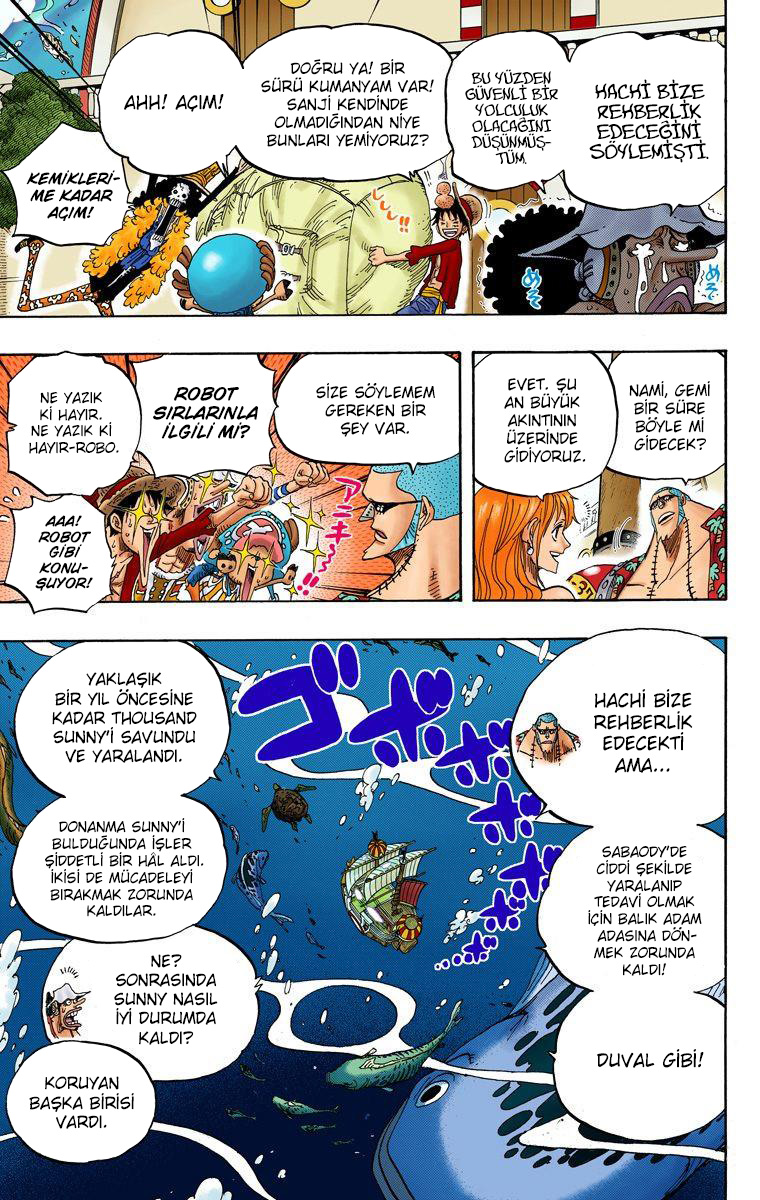 Read One Piece TR Manga Online