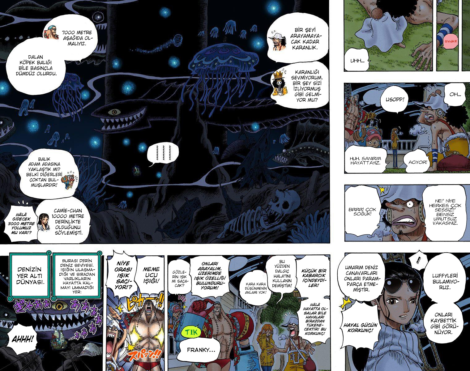 Read One Piece TR Manga Online