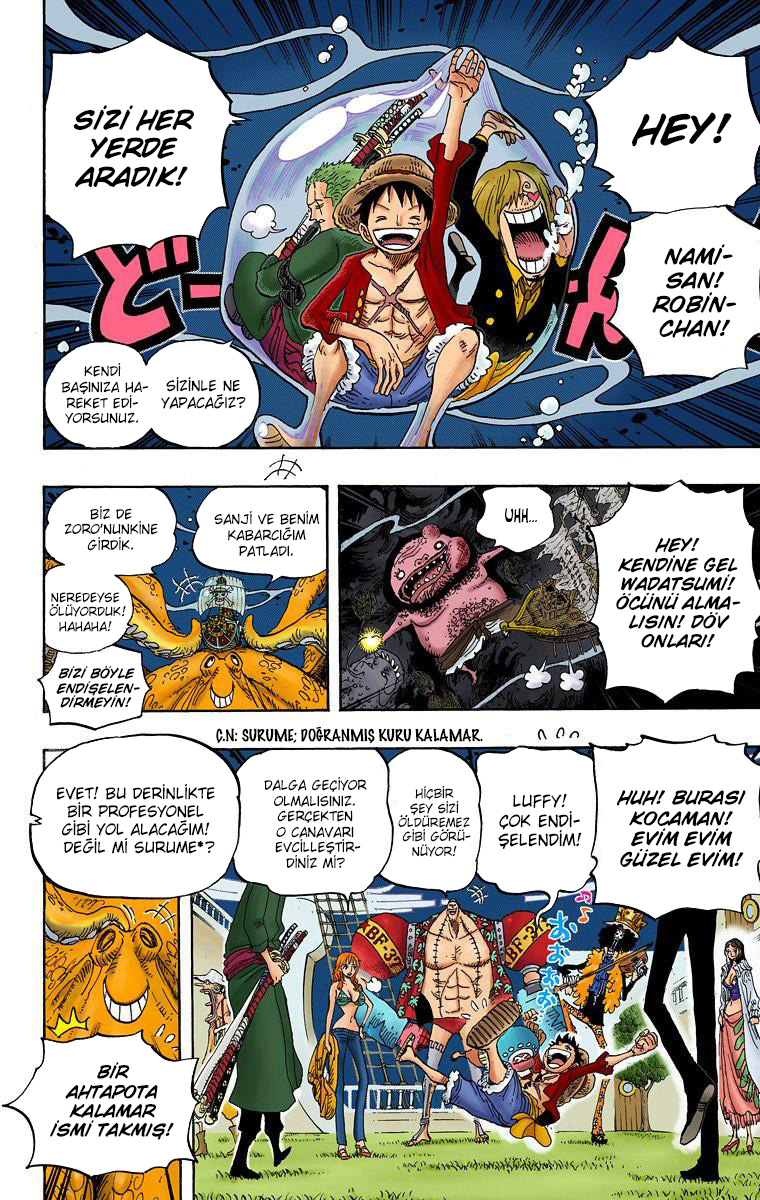 Read One Piece TR Manga Online