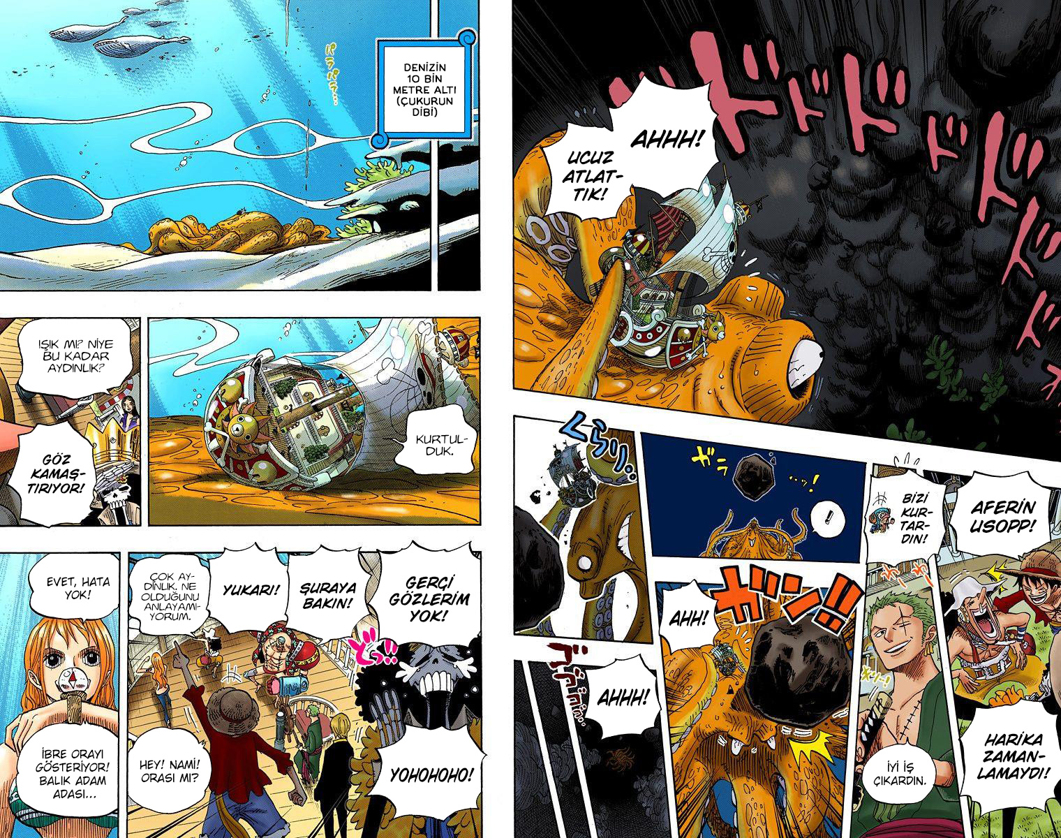 Read One Piece TR Manga Online