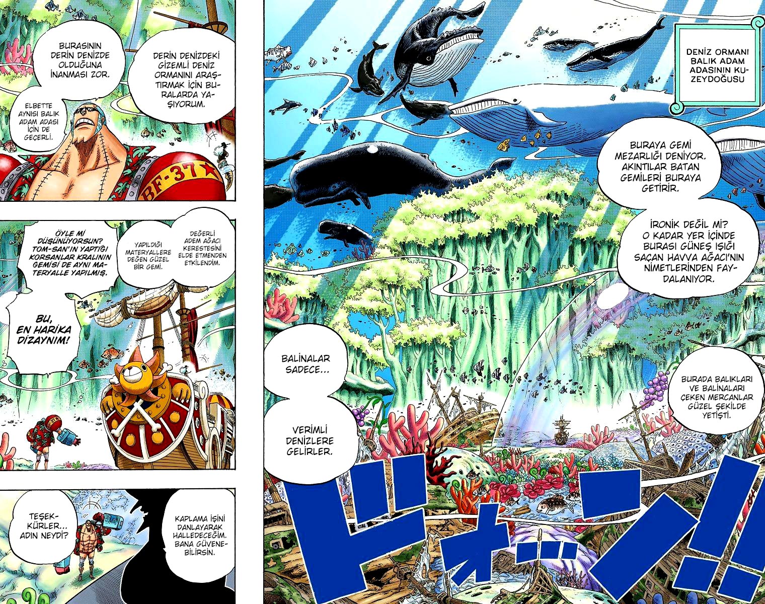 Read One Piece TR Manga Online