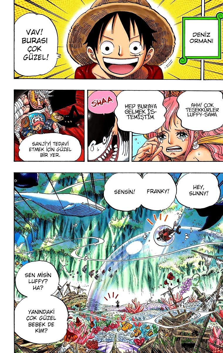 Read One Piece TR Manga Online
