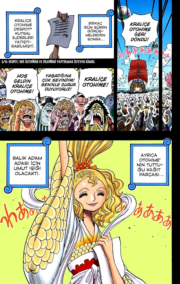 Read One Piece TR Manga Online