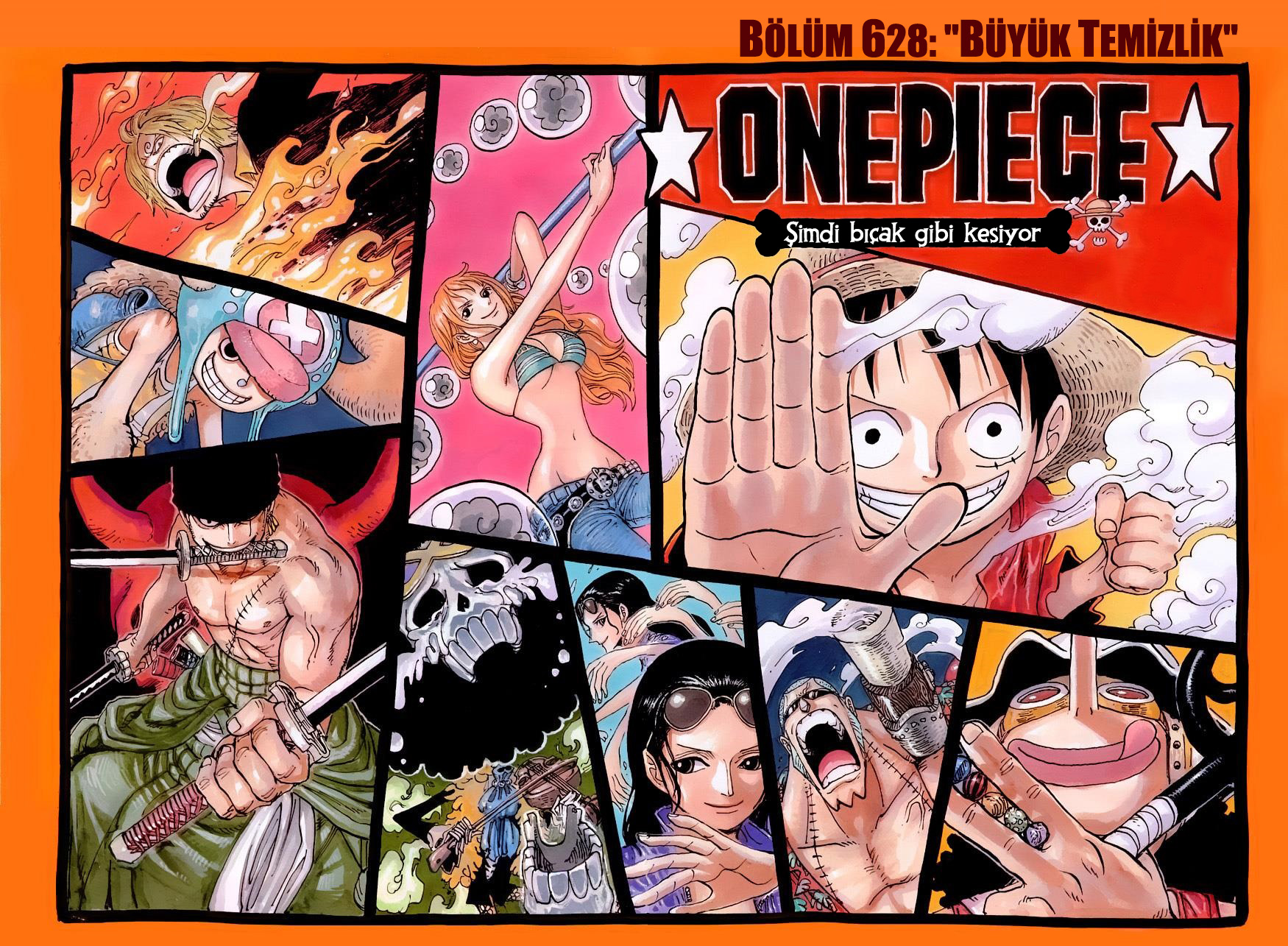 Read One Piece TR Manga Online