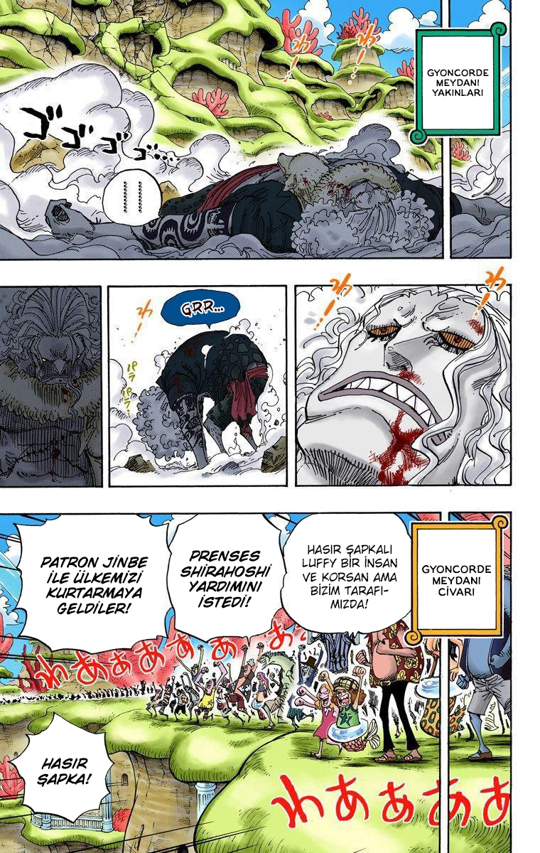 Read One Piece TR Manga Online