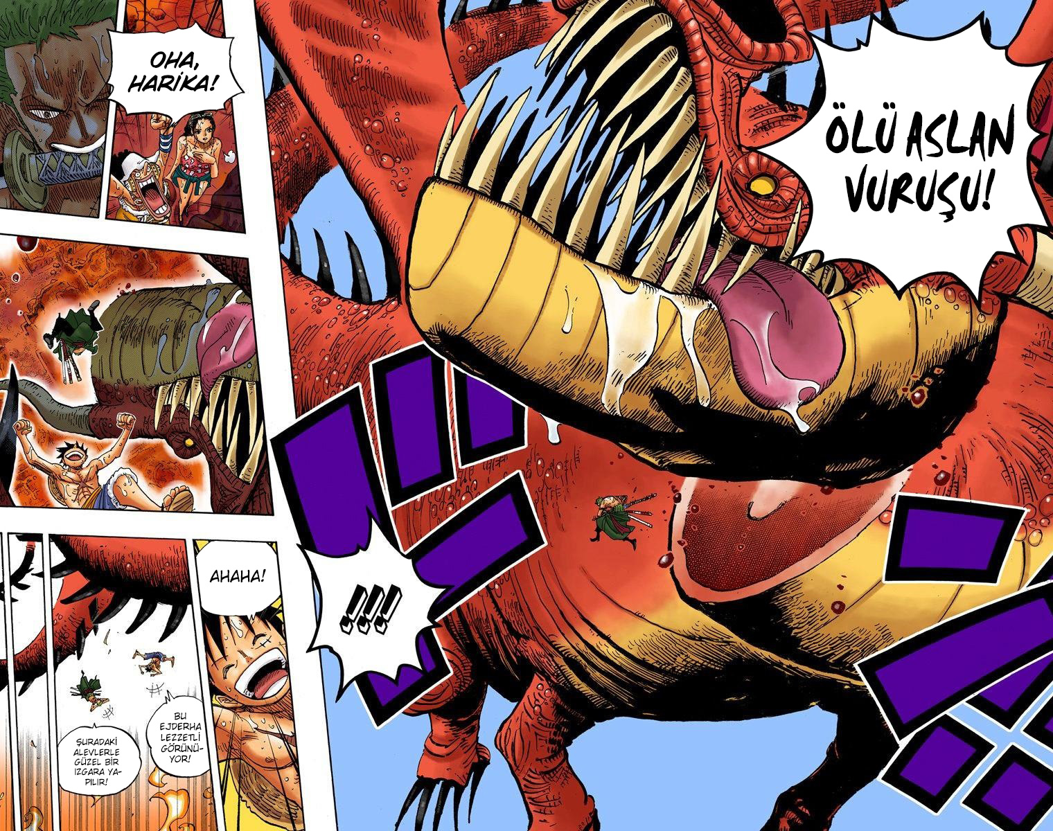 Read One Piece TR Manga Online