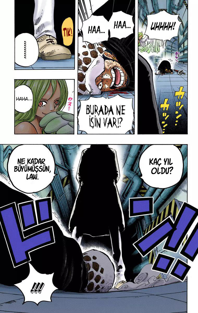 Read One Piece TR Manga Online