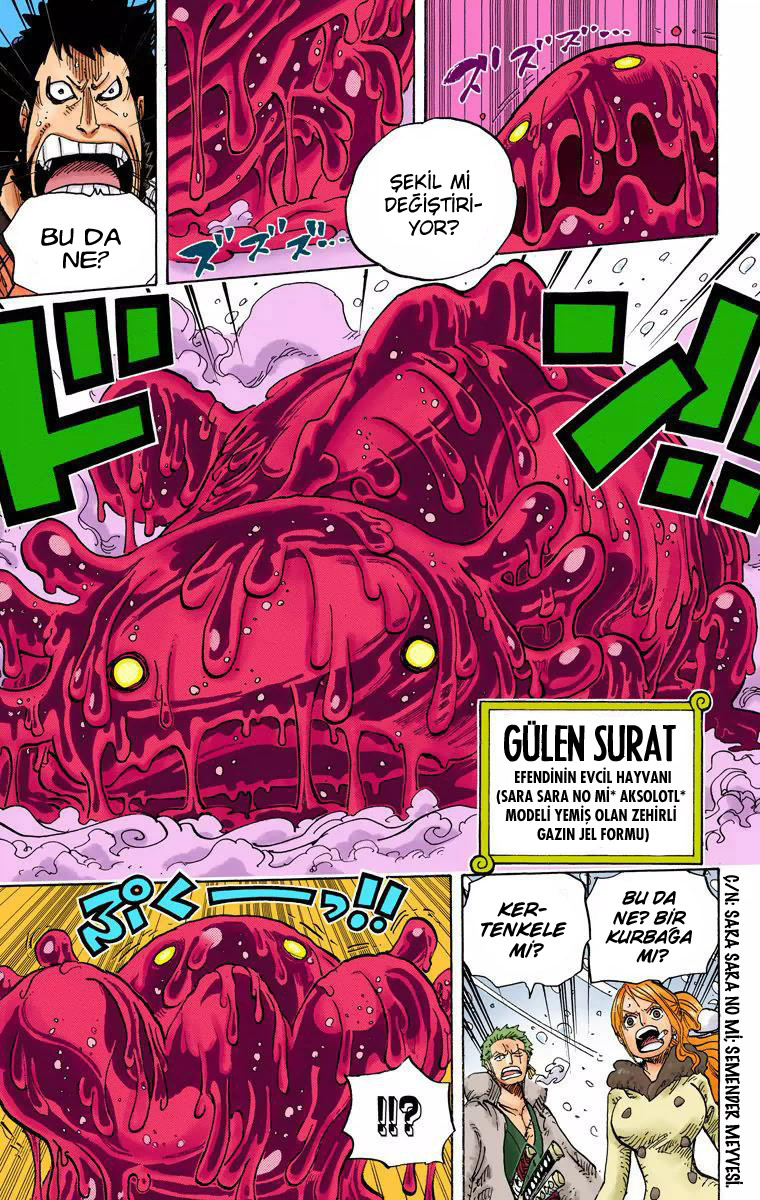 Read One Piece TR Manga Online